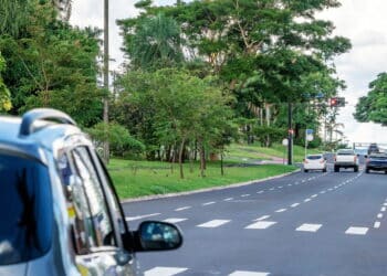 Essa cidade do Brasil conquistou título de mais arborizada do mundo por seis anos