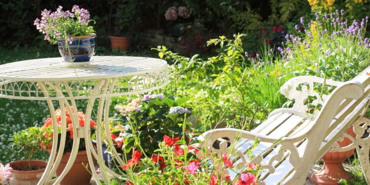 Essas flores vermelhas vão mudar seu jardim; veja as melhores opções para plantar