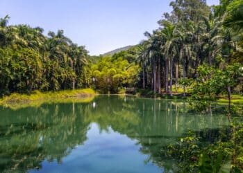 A cidade de Minas que parece um cenário de filme: arte, natureza e encanta turistas