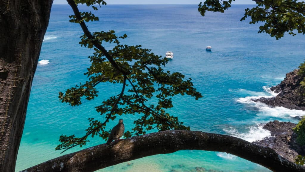 Praia brasileira desbancou o Caribe e foi eleita a melhor do mundo; veja