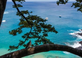Praia brasileira desbancou o Caribe e foi eleita a melhor do mundo; veja
