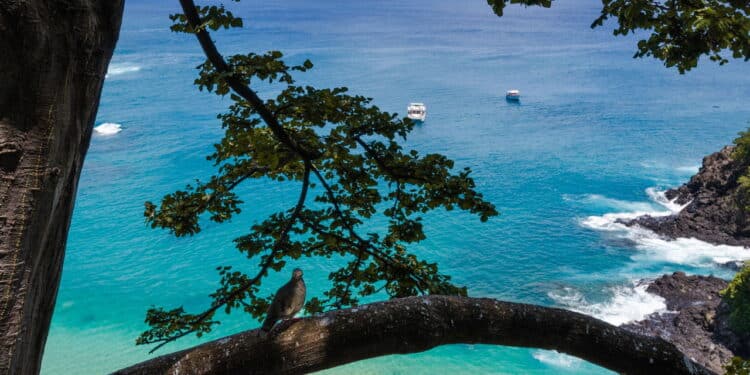 Praia paradisíaca do Brasil bateu o Caribe e liderou lista das melhores do mundo