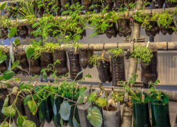 Como montar um jardim vertical encantador mesmo em apartamentos