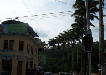 Ponte Nova – Créditos: commons.wikimedia.org