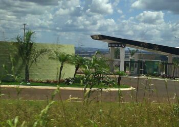 Arapongas – Créditos: commons.wikimedia.org