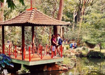 Ribeirão Preto – Créditos: commons.wikimedia.org