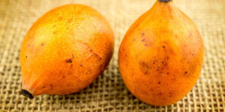 Achachairu: fruta exótica que fortalece a imunidade e melhora a digestão