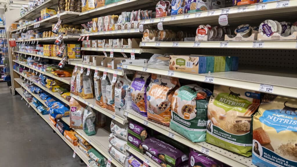 Os 7 melhores alimentos úmidos para gatos que seu pet vai amar!