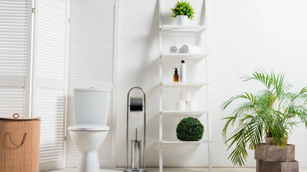 Feng Shui alerta item no banheiro que pode atrair dívidas