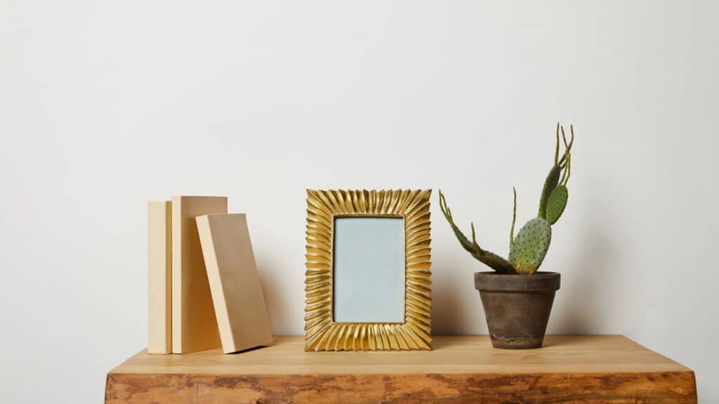 Como decorar ambientes com cactos de forma criativa e prática