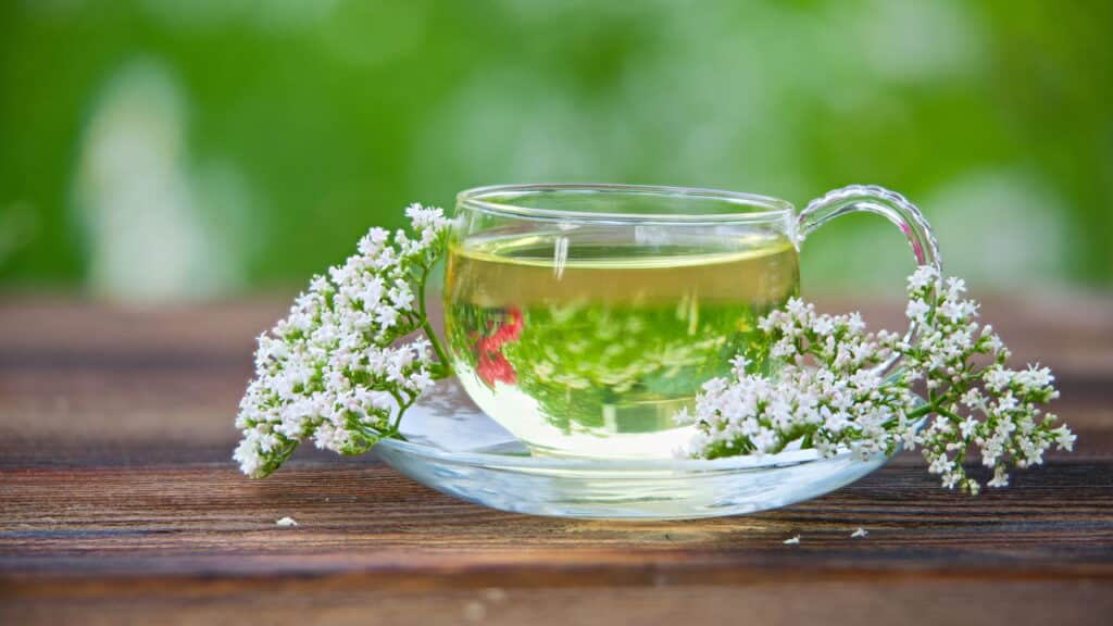 5 chás calmantes que ajudam a dormir melhor e reduzir a ansiedade!
