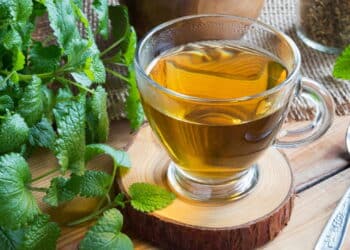 Chá adulterado e falsificado é suspenso pela Anvisa e lotes são recolhidos de prateleiras de todos os mercados