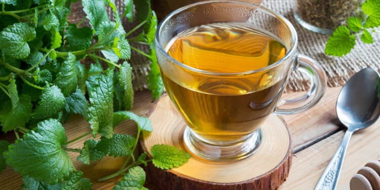 Quatro receitas de chás naturais que ajudam a aliviar o incômodo da dor de cabeça