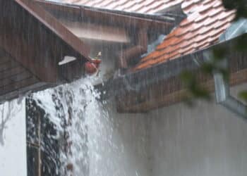 5 motivos para instalar jardins de chuva no seu telhado agora!