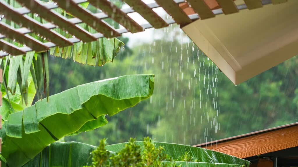 5 motivos para instalar jardins de chuva no seu telhado agora!