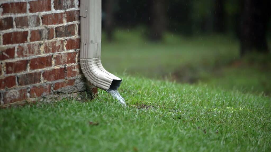 5 motivos para instalar jardins de chuva no seu telhado agora!