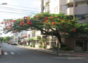 Criciúma, Santa Catarina - Créditos: Wikimedia Commons