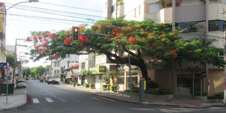 Criciúma, Santa Catarina - Créditos: Wikimedia Commons