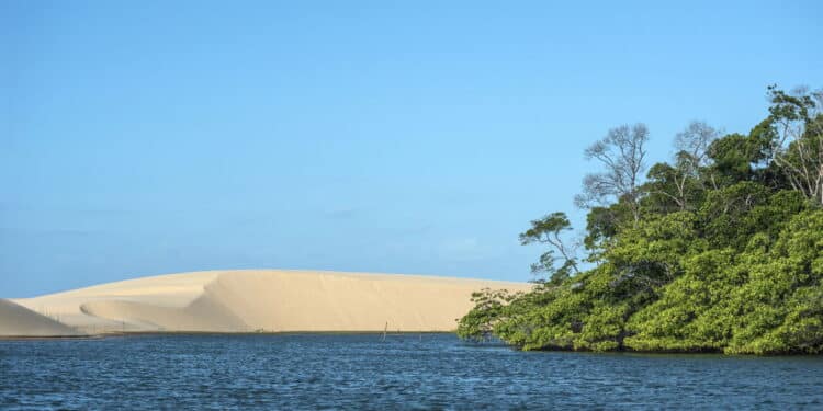 Delta do Parnaíba - Créditos: depositphotos.com / xura