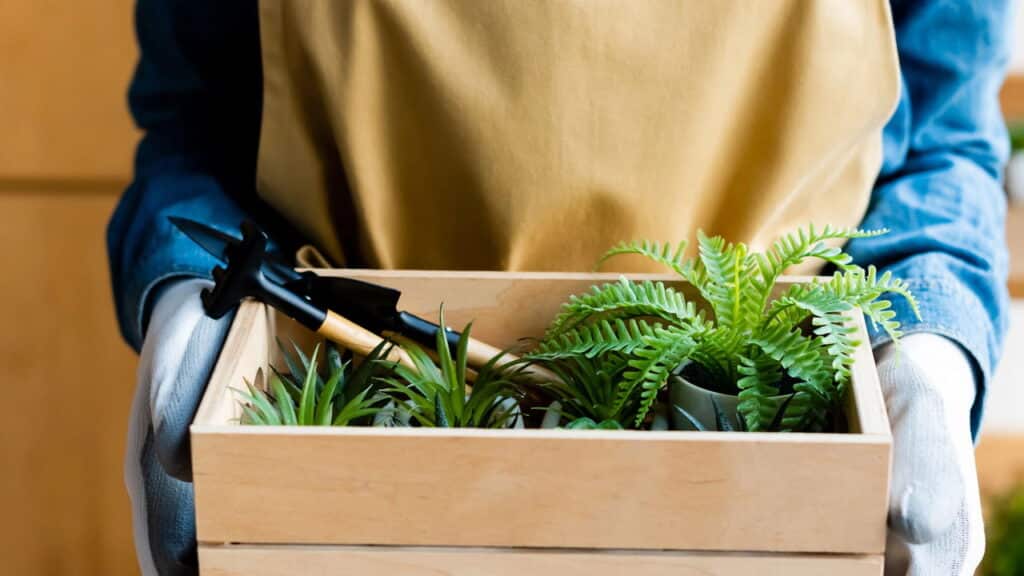 Esse truque natural tem salvado milhares de hortas pelo Brasil!