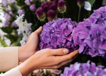 O truque caseiro que está conquistando os apaixonados por jardinagem!
