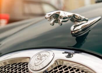 Créditos: depositphotos.com / AleksandrKondratov