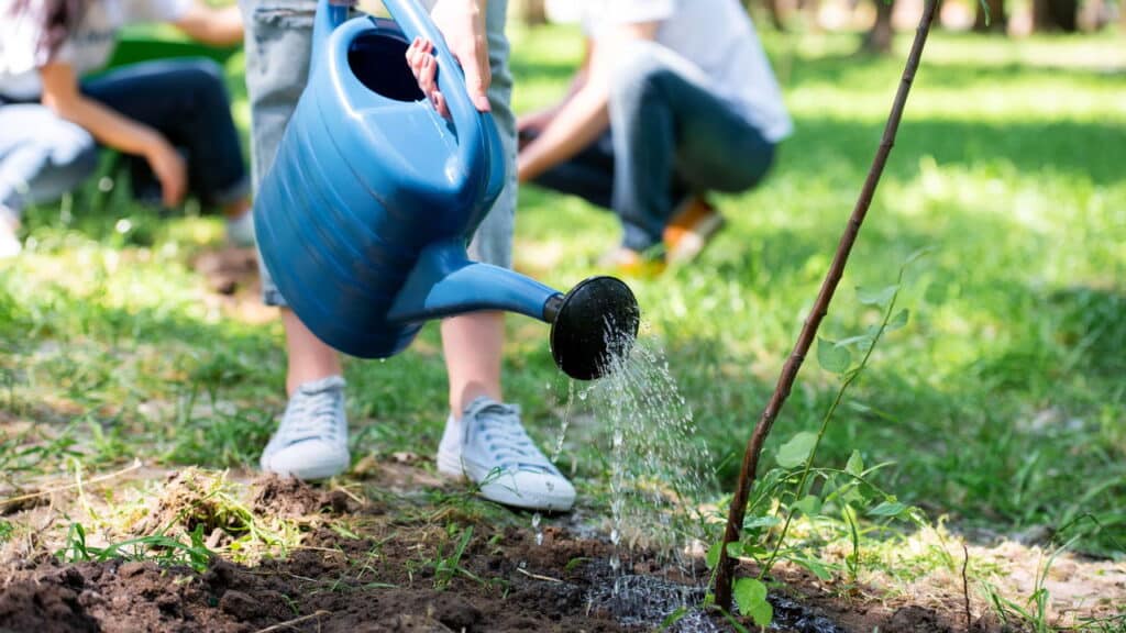 Como cuidar do jardim pode ajudar na sua ansiedade