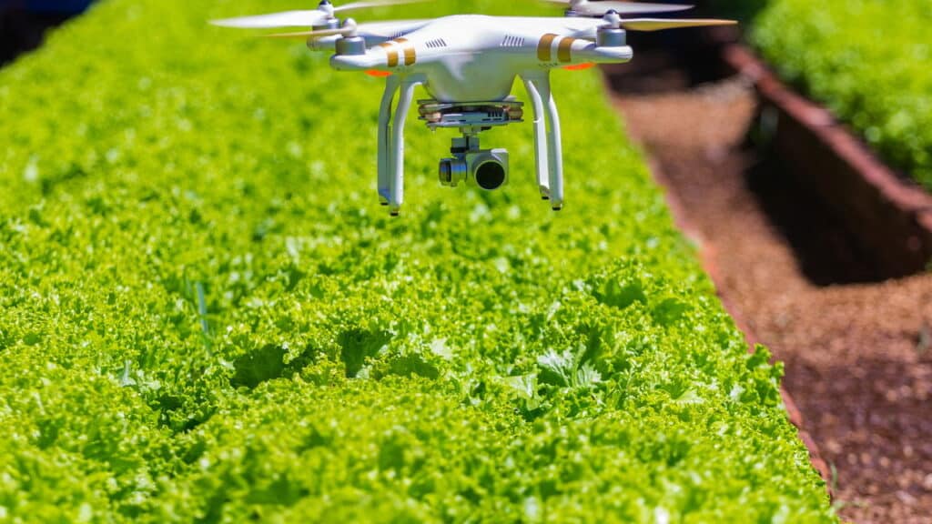 Paisagismo sustentável vira tendência forte nos jardins de 2025!