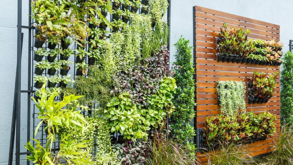 5 plantas ideais para montar seu primeiro jardim vertical!
