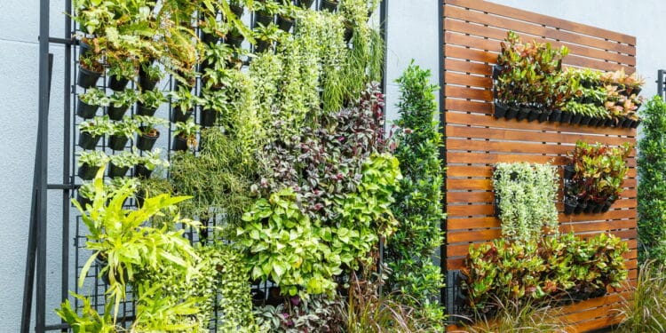 Quem vive em apartamento vai se apaixonar por essa ideia com as plantas!