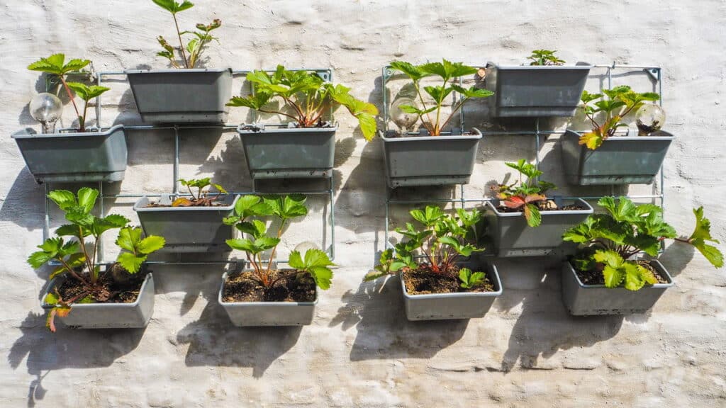 Quem vive em apartamento vai se apaixonar por essa ideia com as plantas!