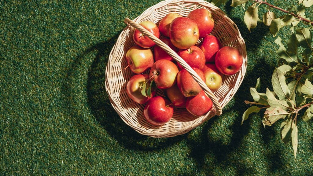 Caroço de maçã vira adubo poderoso e melhora solo do jardim!