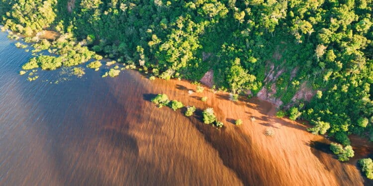Essa cidade no meio da floresta do Brasil tem um segredo que encanta o mundo todo!