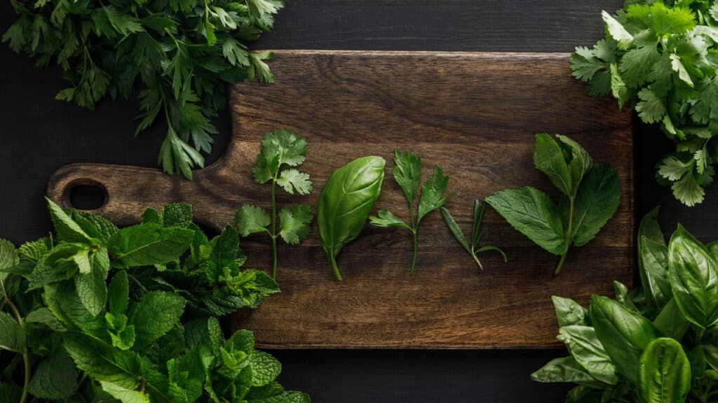 O jeito mais fácil de cultivar manjericão fresco em casa!