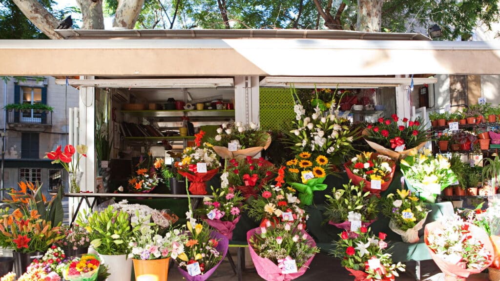 Os melhores mercados de flores do Brasil para quem ama jardinagem!