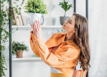 O truque de Feng Shui que é o maior aliado do seu bem-estar em apartamentos pequenos