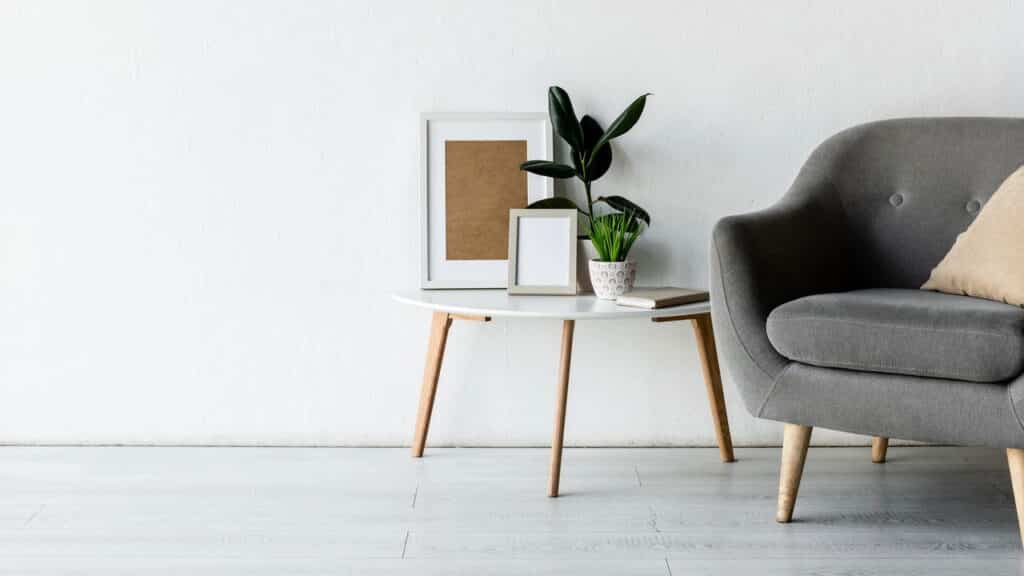 Plantas que purificam ambientes e trazem prosperidade segundo Feng Shui