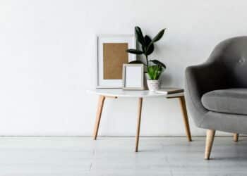 Posicionar plantas erradas no quarto atrai estagnação e cansaço