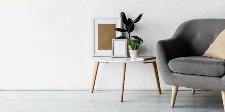 Como usar plantas na decoração da sala sem sobrecarregar o ambiente