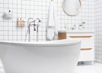 Plantas para banheiro: espécies que gostam de umidade e pouca luz