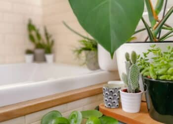 Não deixe isso no banheiro se quiser evitar perdas financeiras, segundo o Feng Shui