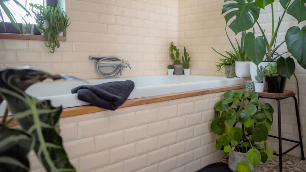 Cantinho verde em casa promove relaxamento e bem-estar