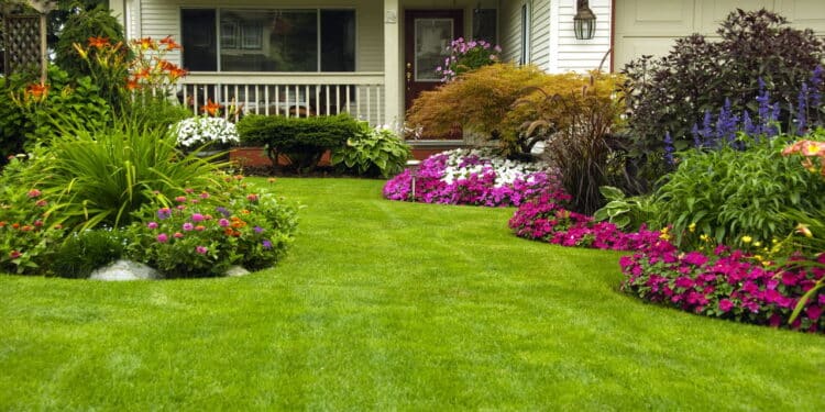 A nova tendência entre jardineiros que está conquistando até quem não planta!