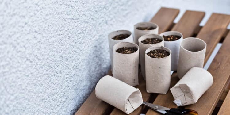 Rolo de papel higiênico vira tesouro no seu jardim com essa dica simples!