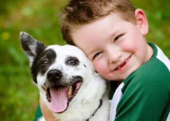 Cães estão ajudando crianças com ansiedade e o efeito é surpreendente