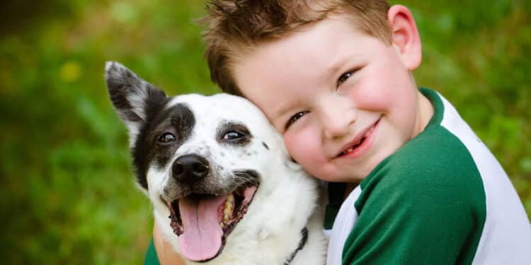 Cães estão ajudando crianças com ansiedade e o efeito é surpreendente