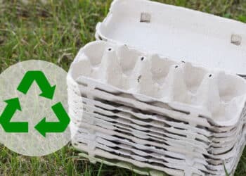 Você nunca mais vai olhar para uma caixa de ovos da mesma forma