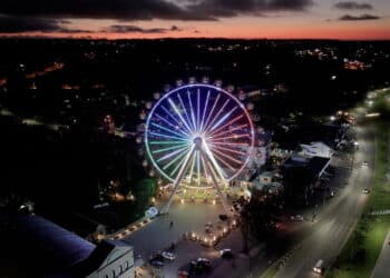 Créditos: depositphotos.com / Cristian_Lourenco