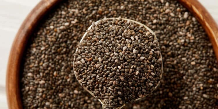 Chia tem mais proteína que ovo e mais cálcio que leite