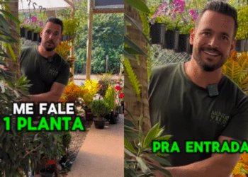 mundo_verde_plantas